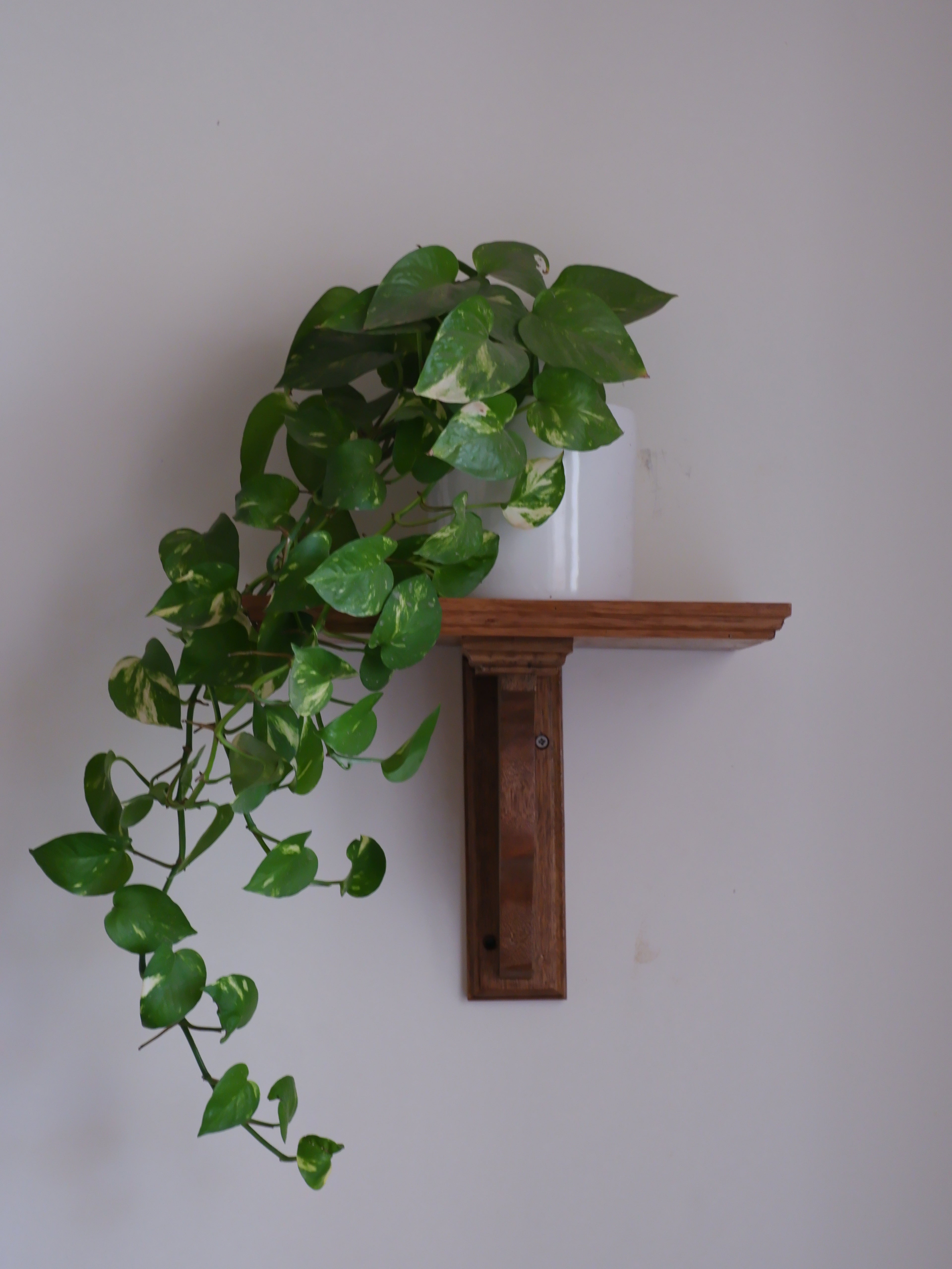 Auren Mini Corbel Shelf