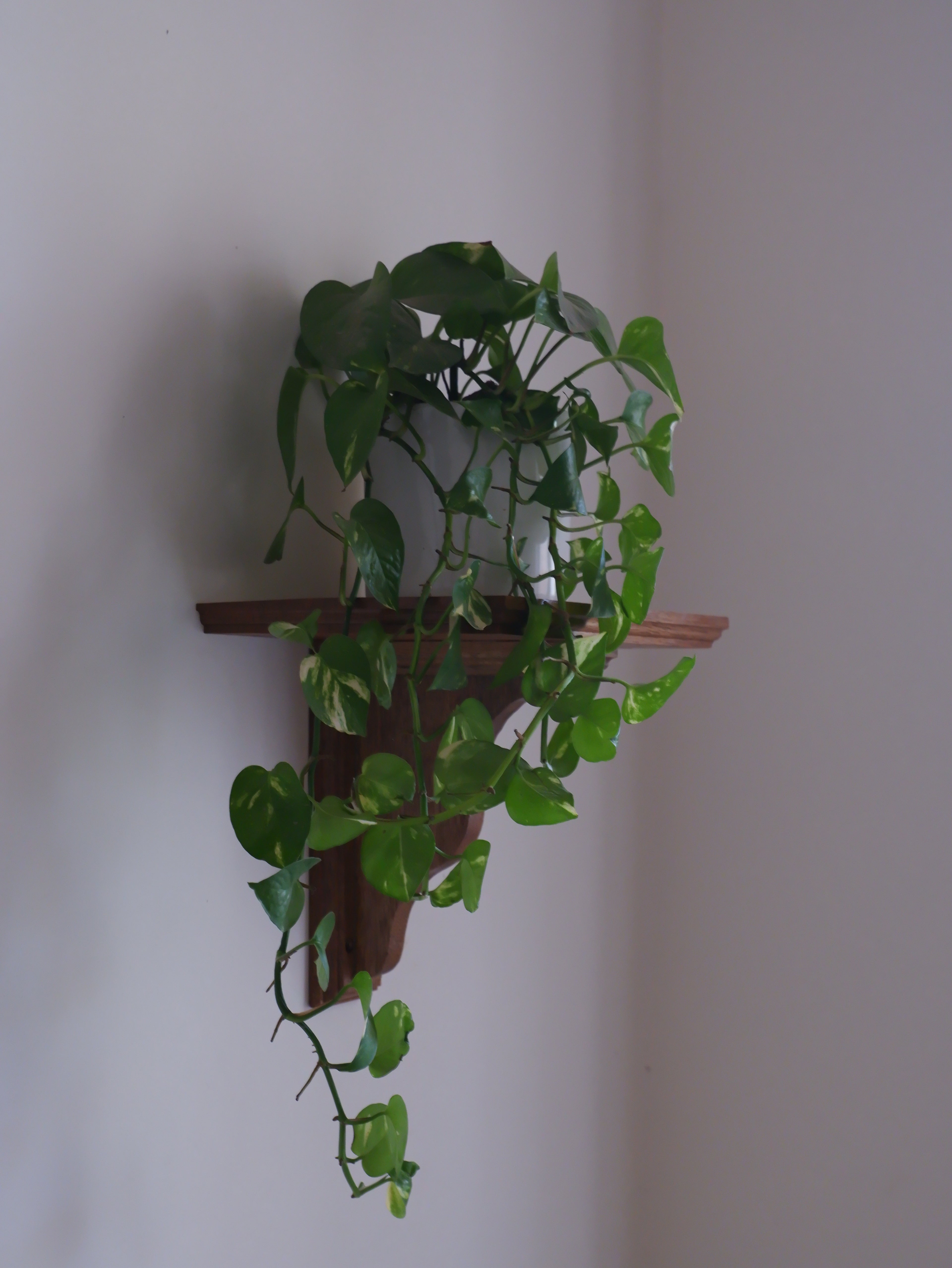Auren Mini Corbel Shelf