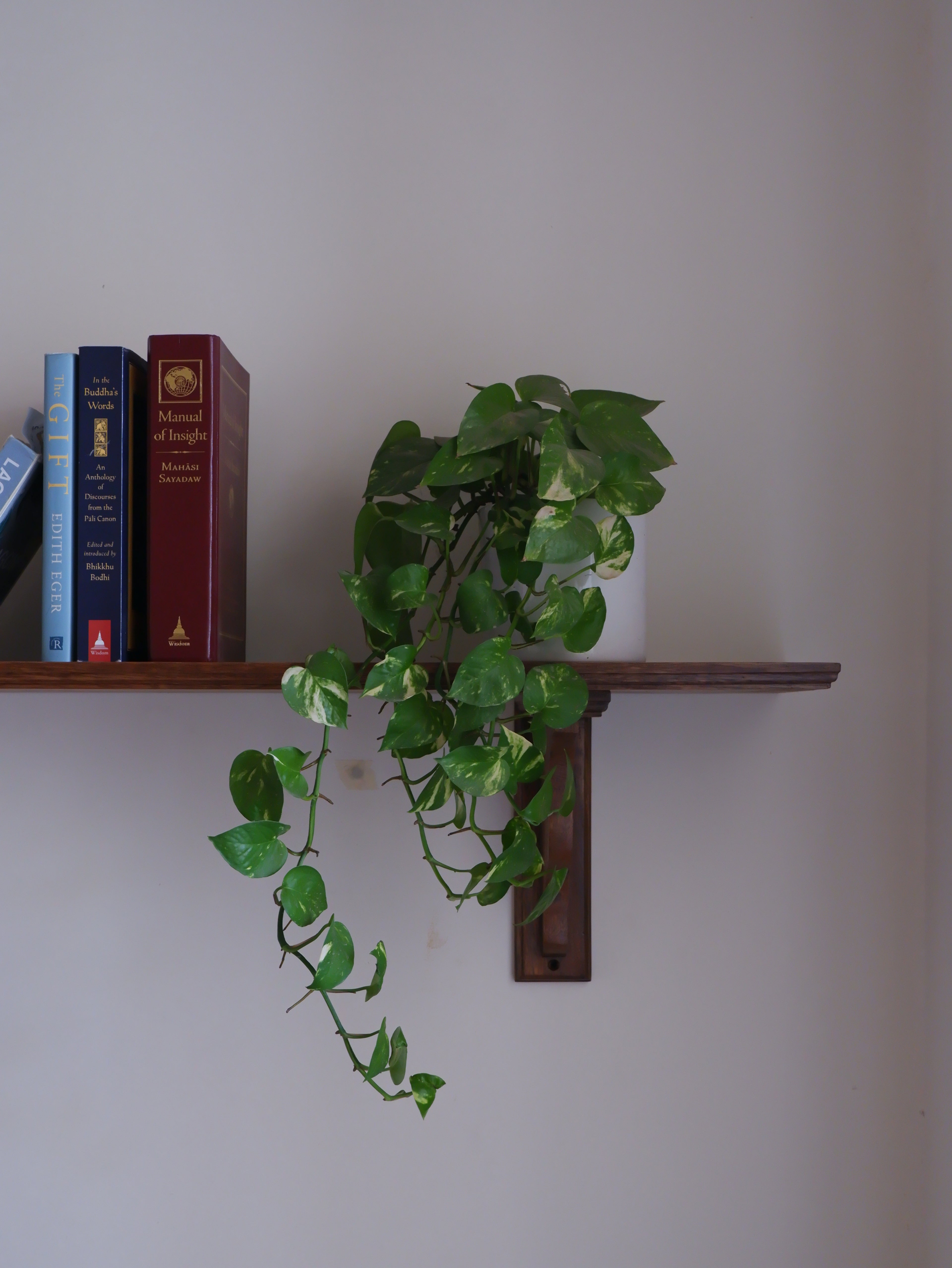 Elowen Corbel Bracket Shelf