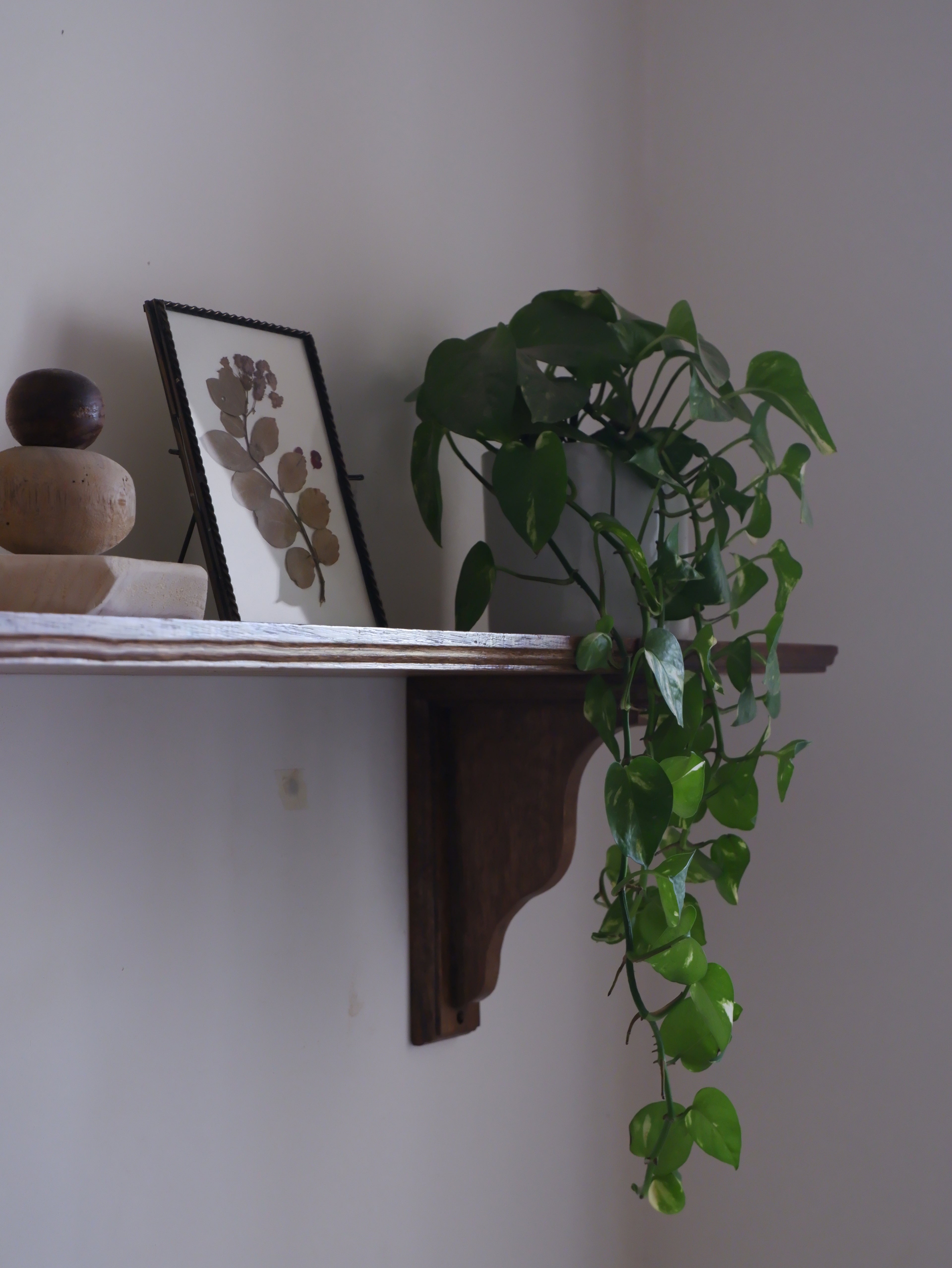 Elowen Corbel Bracket Shelf